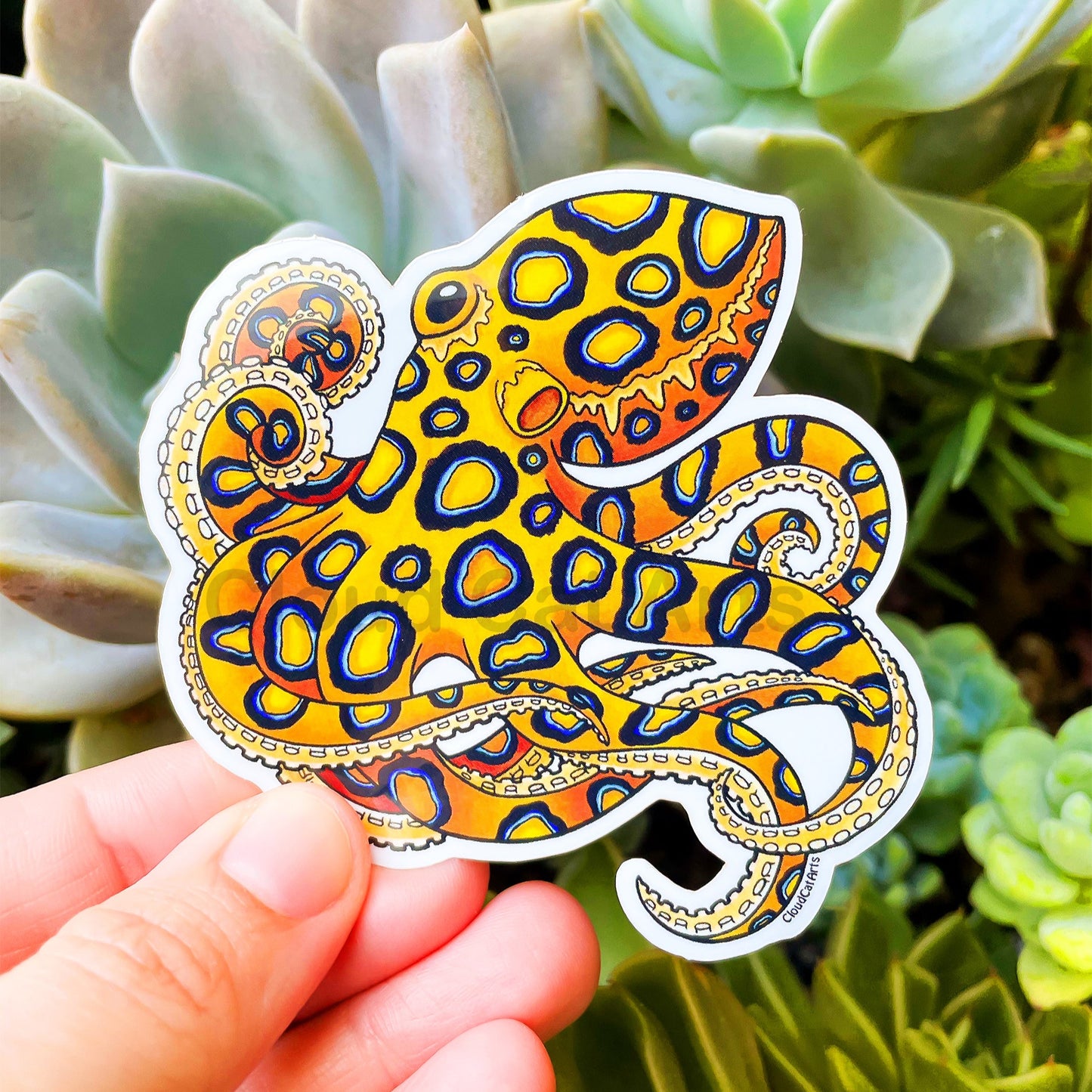 Blue Ringed Octopus - Marine Life - Vinyl Sticker