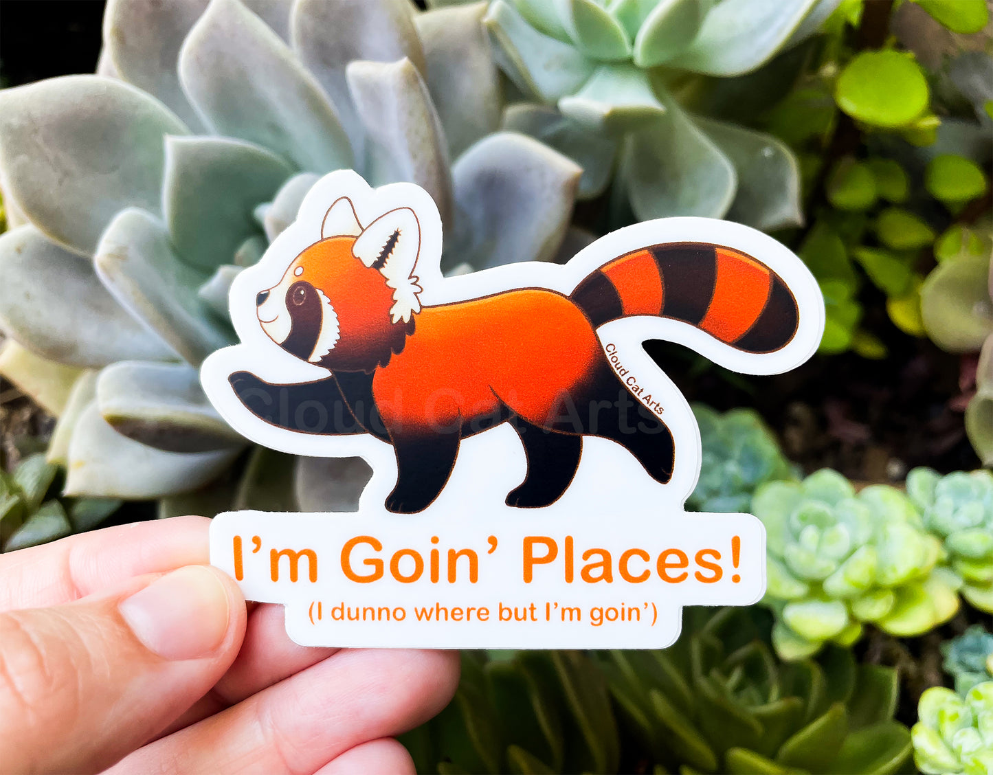I'm Goin' Places - Funny Red Panda - Vinyl Sticker