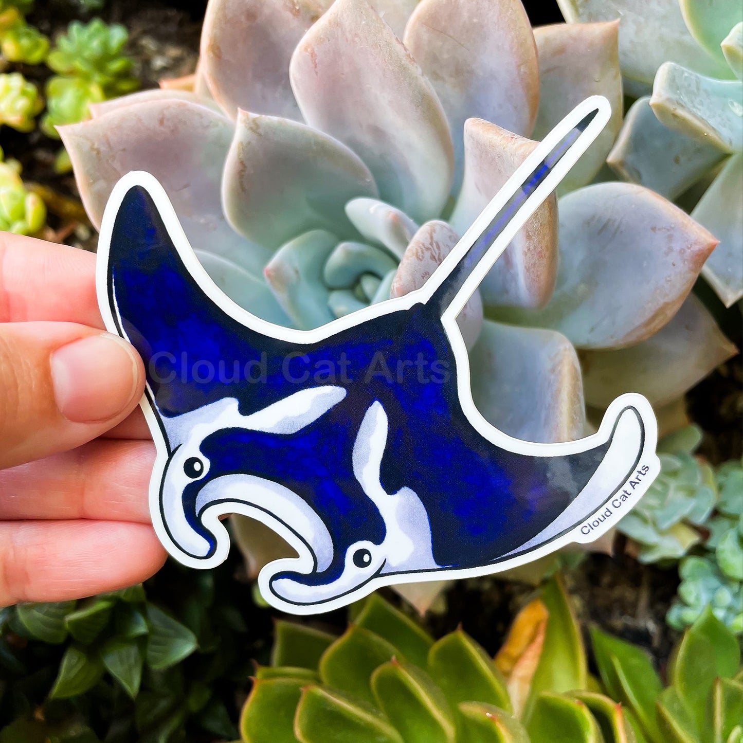 Manta Ray - Marine Life - Vinyl Sticker