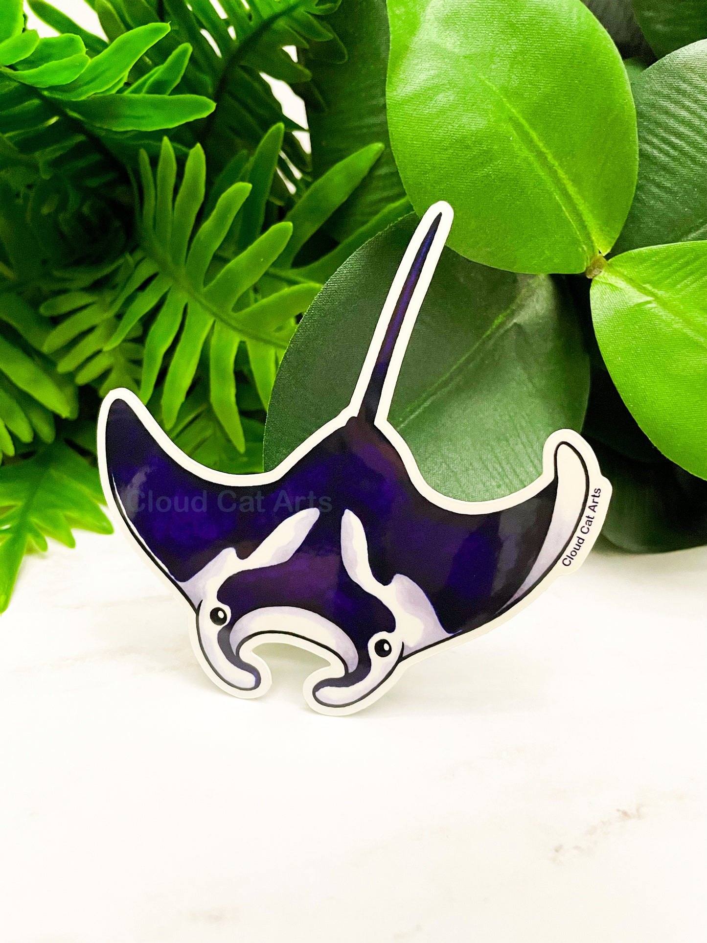 Manta Ray - Marine Life - Vinyl Sticker