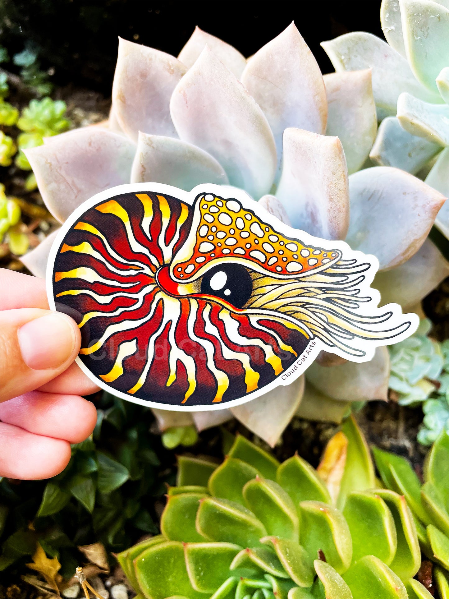 Nautilus - Marine Life - Vinyl Sticker